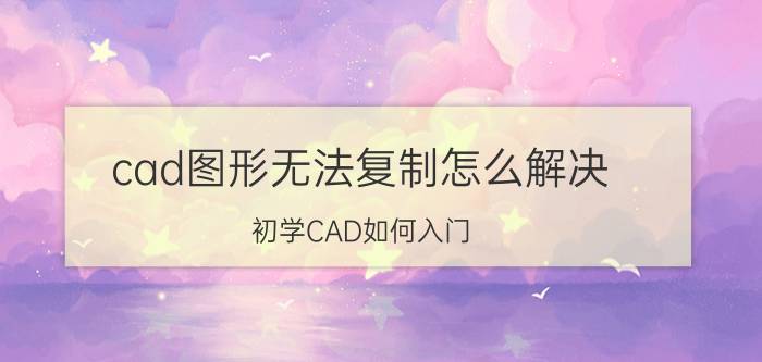 cad图形无法复制怎么解决 初学CAD如何入门？